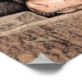 牛素朴ヴィンテージスケッチアートカントリーバーンファーム ポスター (角)