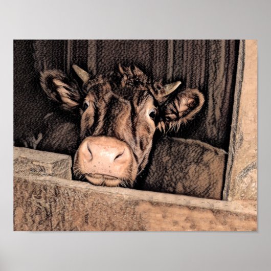 牛素朴ヴィンテージスケッチアートカントリーバーンファーム ポスター (正面)