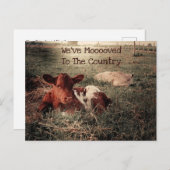 牛素朴国おもしろい農場移動カード ポストカード (正面/裏面)