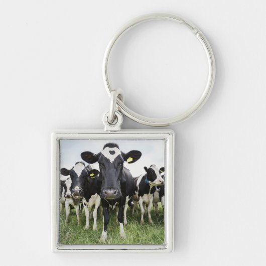 牛続けて キーホルダー (正面)
