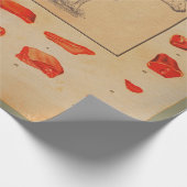 牛肉100% ラッピングペーパー (角)