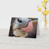 牛舌 カード (黄色い花)