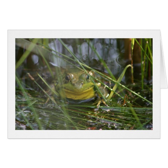 牛蛙の空白のなカード (正面横)