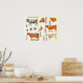 牛解剖図 – 18" X 24" ポスター (キッチン)