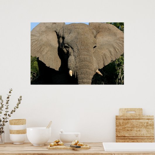 牛象ポスター ポスター (キッチン)