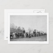 牛車の女が鞭の写真を持つ ポストカード (正面/裏面)