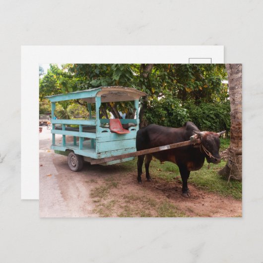牛車 ポストカード (正面/裏面)
