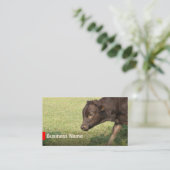 牛農業のビーフ牧場名刺 名刺 (スタンド正面)