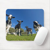 牛食べ物を与えの放牧地 マウスパッド (マウス)