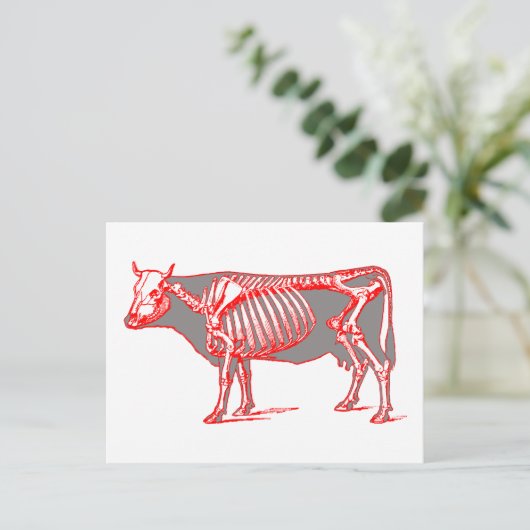 牛骨格 ポストカード (スタンド正面)