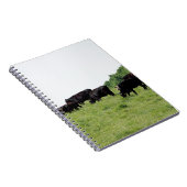 牛黒いアンガス ノートブック (右側)