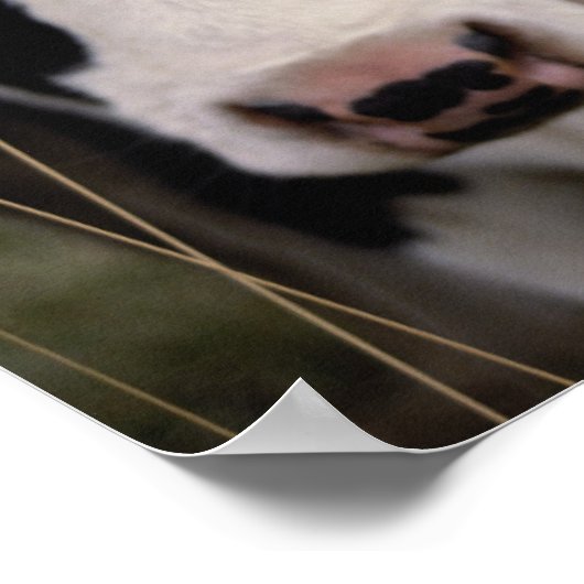 牛3 ポスター (角)