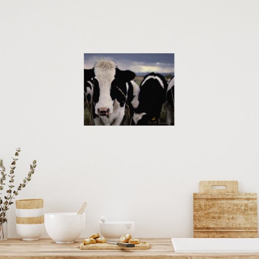 牛3 ポスター (キッチン)