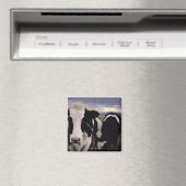 牛3 マグネット (インサイチュ (食洗機))