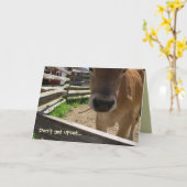 牛50th誕生日カード カード (黄色い花)