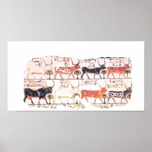 牛8頭 ポスター (正面)