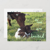 牛&ふくらはぎポストカード/招待カスタマイズ-  インビテーションポストカード (正面/裏面)