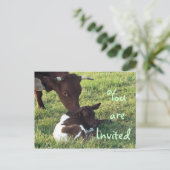 牛&ふくらはぎポストカード/招待カスタマイズ-  インビテーションポストカード (スタンド正面)