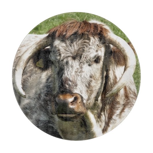 牛 カッティングボード (正面)