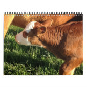 牛 カレンダー (カバー)