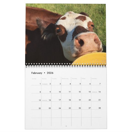 牛 カレンダー (2月 2026)