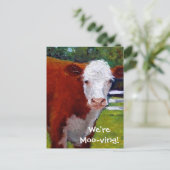 牛:カードを移動する 案内ポストカード (スタンド正面)