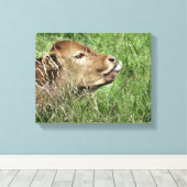 牛 キャンバスプリント (インサイチュ (ウッドフロア))