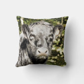 牛 クッション (裏面)