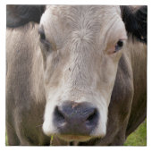 牛 タイル (正面)