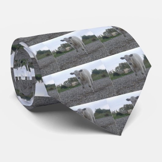 牛 ネクタイ (ロール)