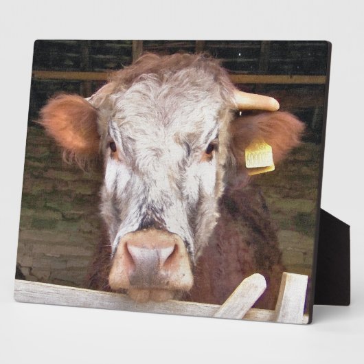 牛 フォトプラーク (側面)