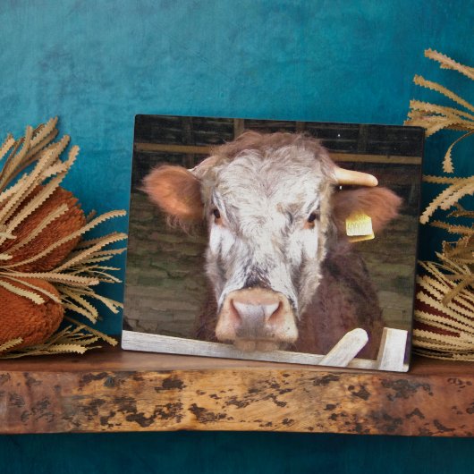 牛 フォトプラーク (側面)