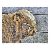 牛 フォトプリント            (正面)