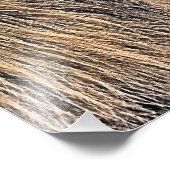 牛 フォトプリント            (角)