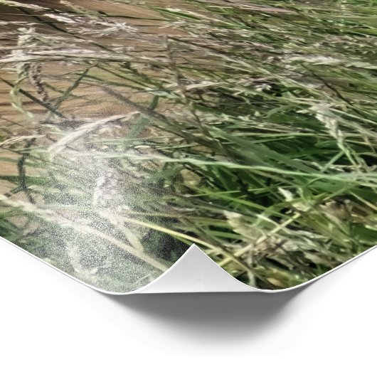 牛 フォトプリント            (角)