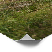 牛 ポスター (角)