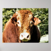 牛 ポスター (正面)