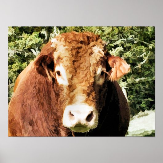 牛 ポスター (正面)