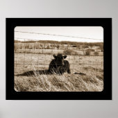 牛 ポスター (正面)