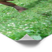 牛 ポスター (角)