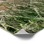 牛 ポスター (角)