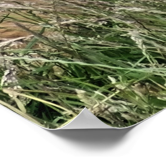 牛 ポスター (角)