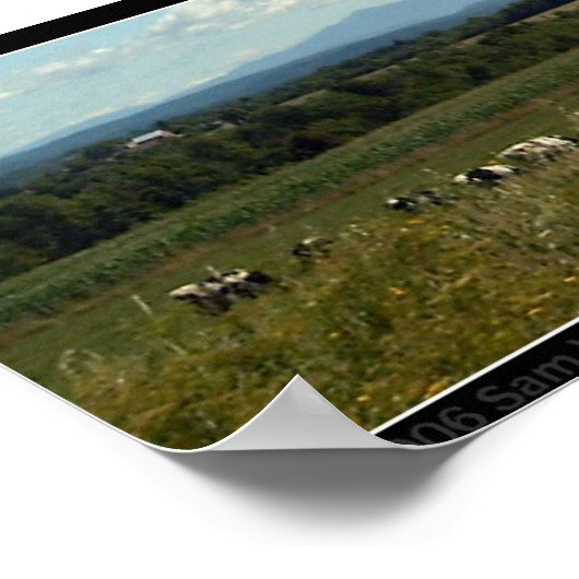 牛 ポスター (角)