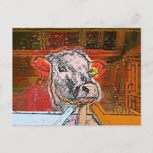 牛 ポストカード (正面)