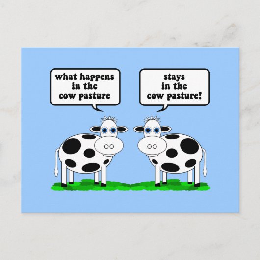 牛 ポストカード (正面)