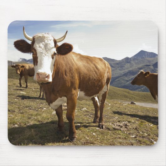 牛 マウスパッド (正面)