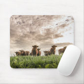 牛 マウスパッド (マウス)