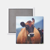 牛 マグネット (正面/裏面)