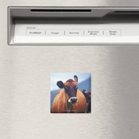 牛 マグネット (インサイチュ (食洗機))