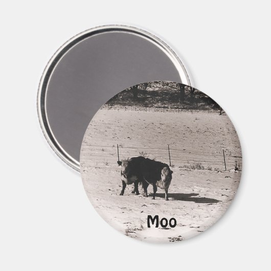 牛 マグネット (正面/裏面)